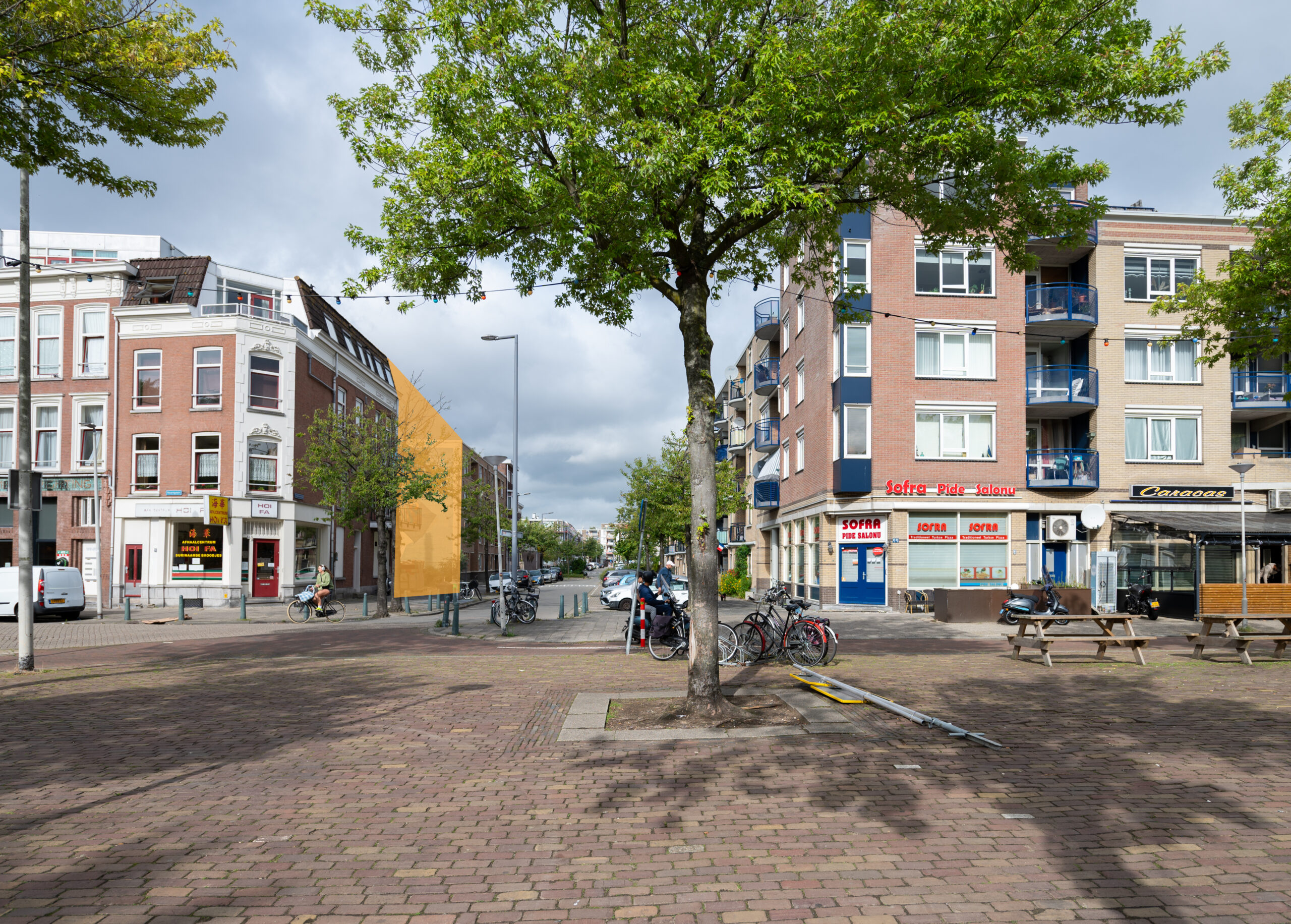 Kenmerken